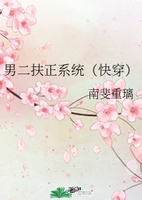 男二扶正系统（快穿）